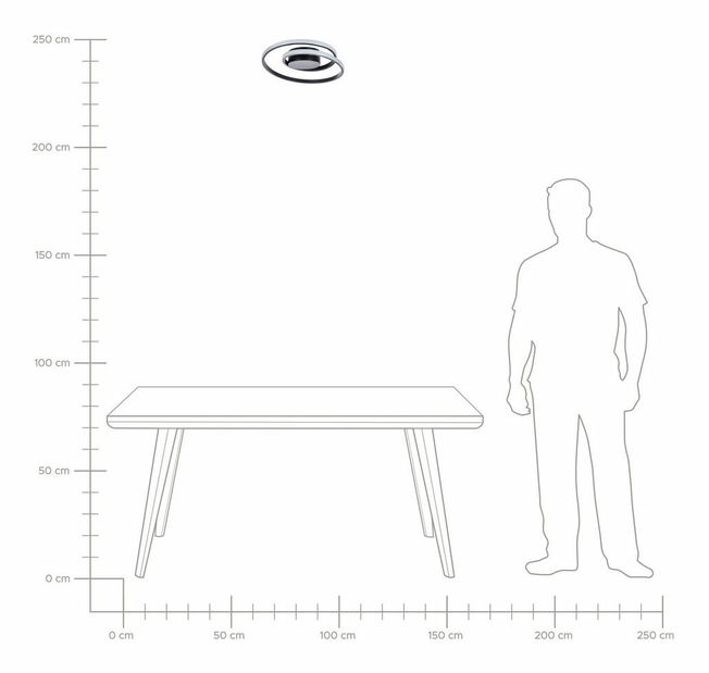 Stropní svítidlo Narza (černá)