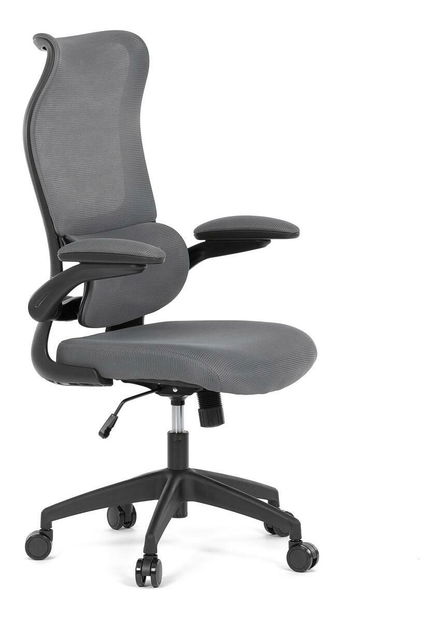 Kancelářské křeslo Clausura (šedá)