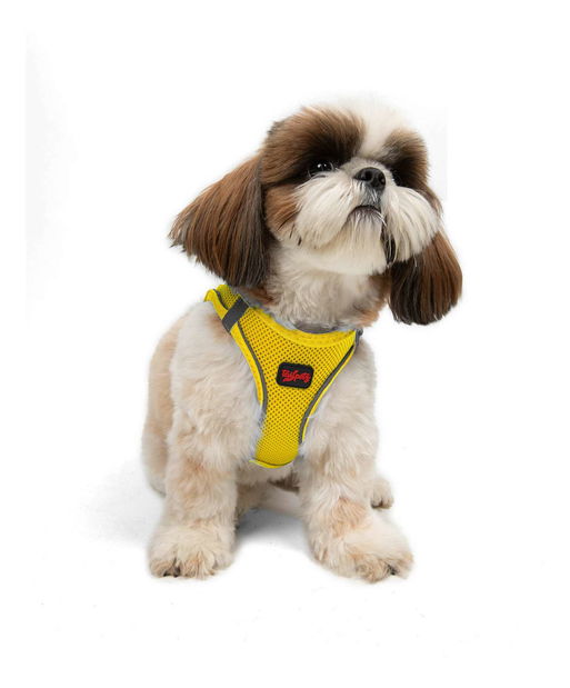Postroj pro psa Airy (žlutá) (L)