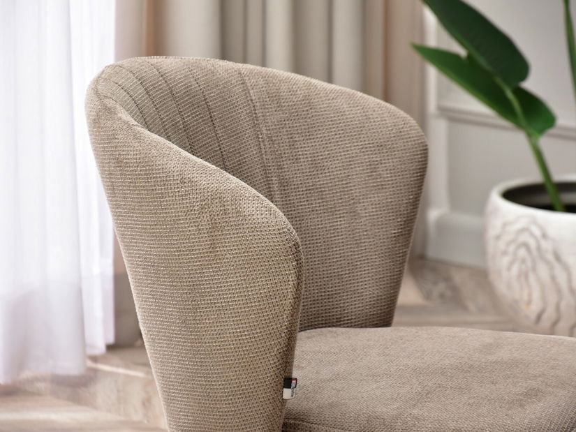 Židle Zane (béžová + černá) *výprodej