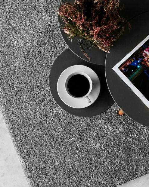 Koberec 300x200 cm Damte (světle šedá)