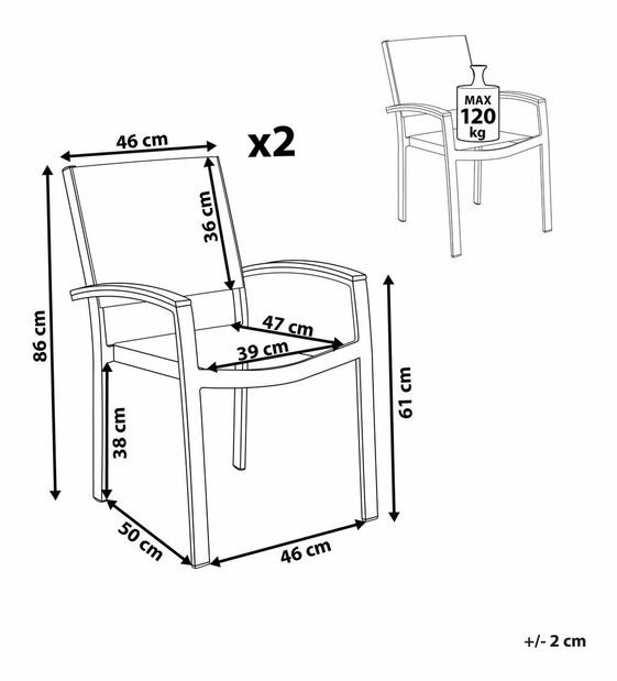Set 2ks. židlí Pero (šedá)