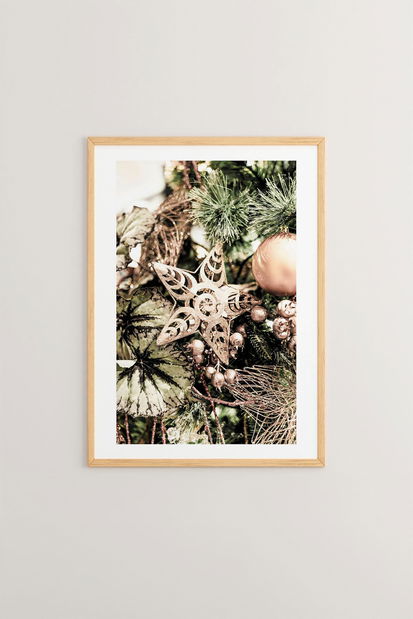 Obraz Nvyka 1 (vícebarevné)