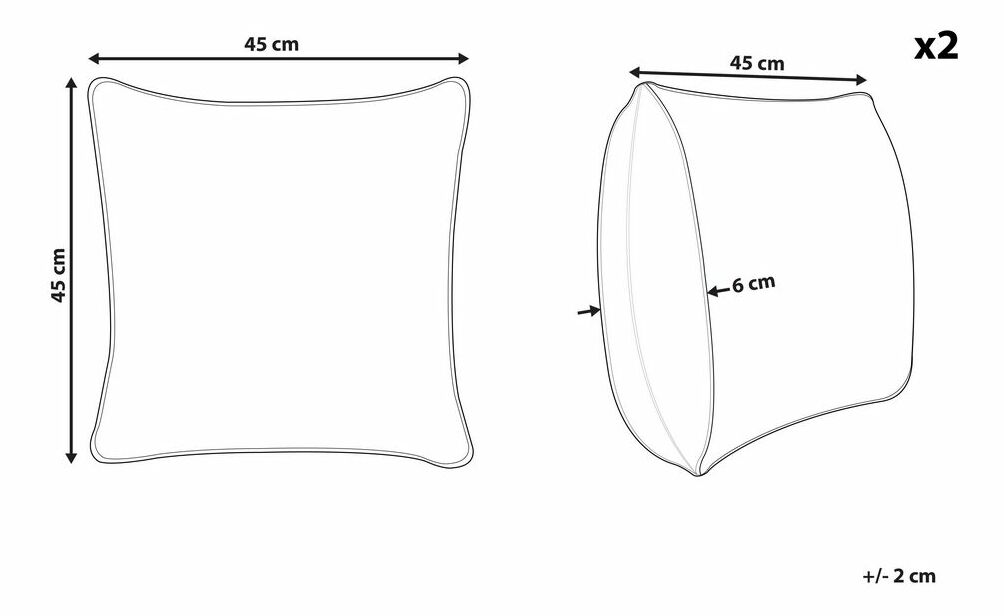 Sada 2 ozdobných polštářů 45 x 45 cm Wisza (šedá)