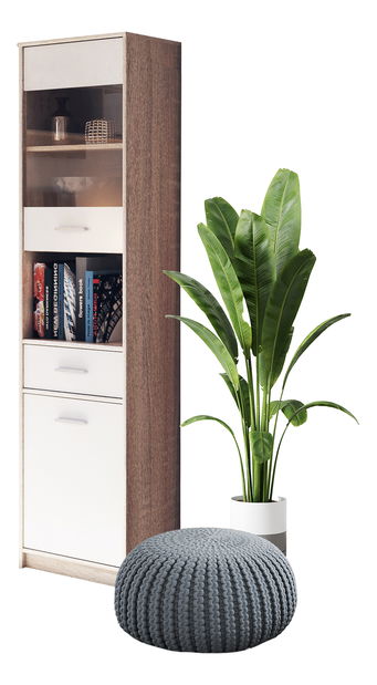 Vitrína Terrell (dub sonoma + bílá)