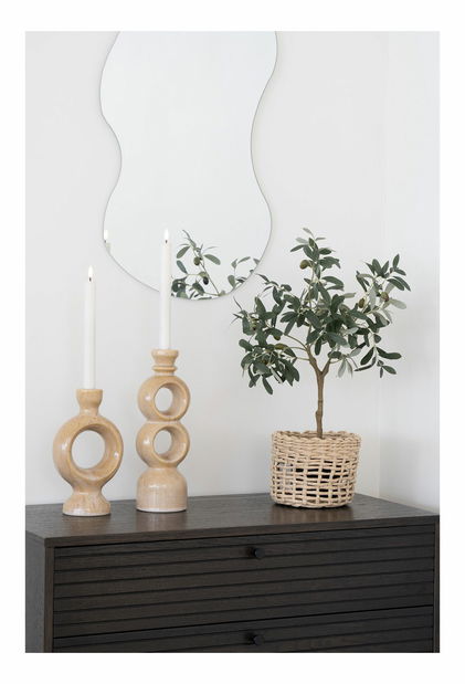 Olivovník Oslaví 1 (zelená)