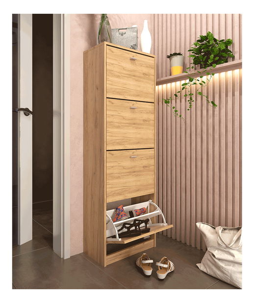 Botník (skříňka na boty) Verity Typ 3 (dub artisan)