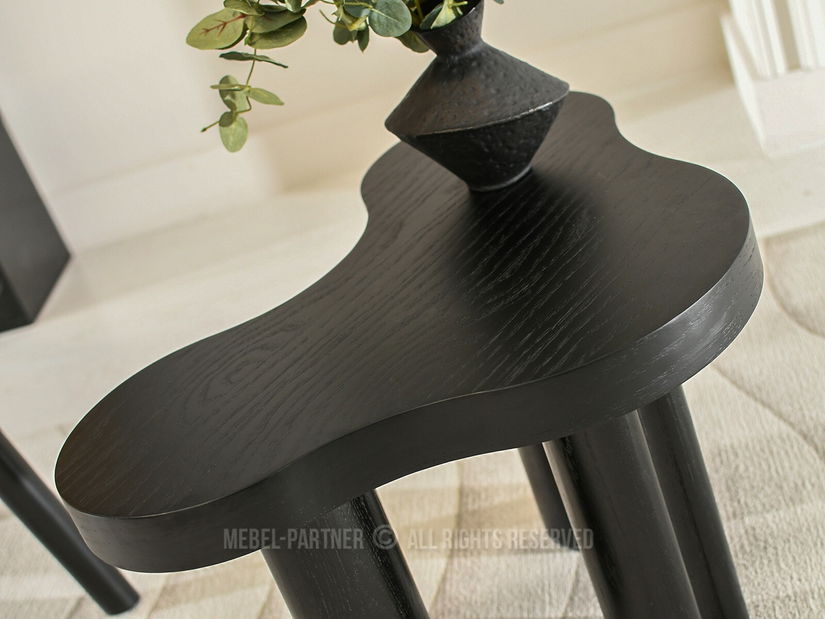 Konferenční stolek Sirvieron (černá)