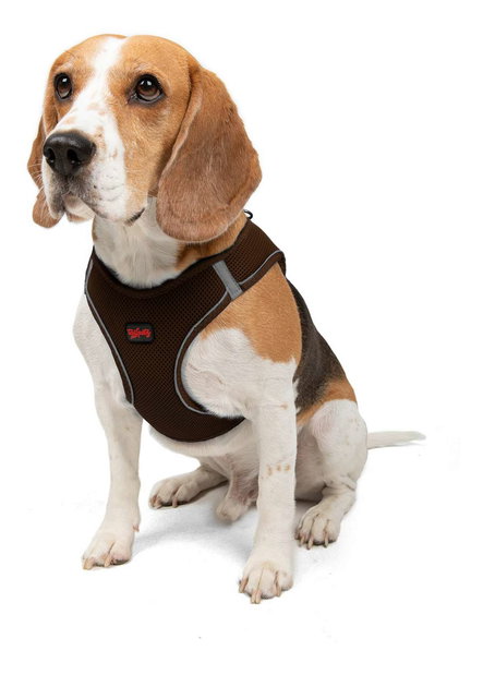 Postroj pro psa Airy (hnědá) (S)