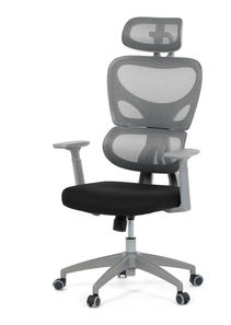 Kancelářské křeslo Kuito (šedá)