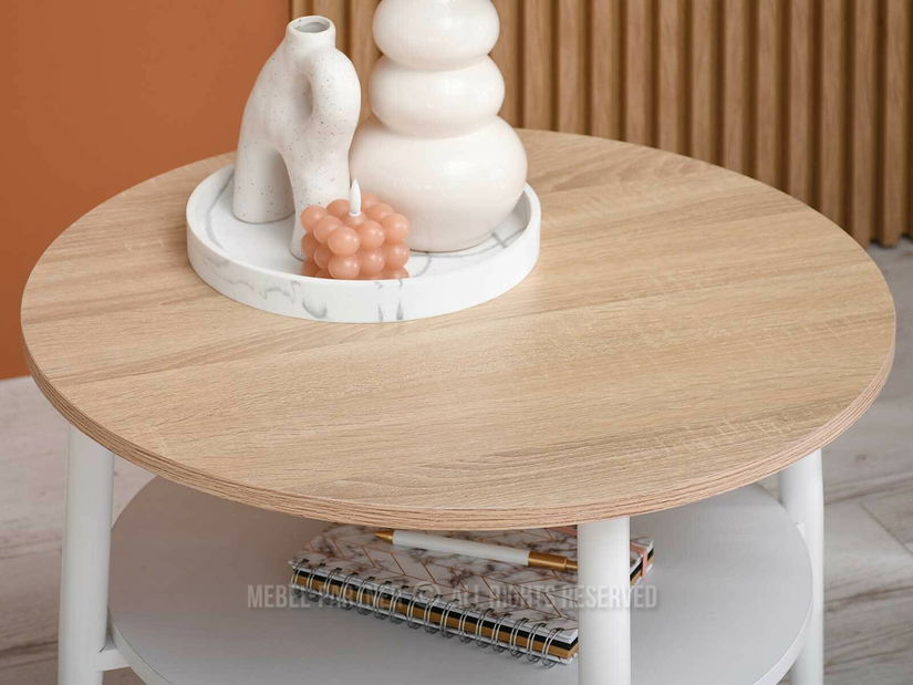 Konferenční stolek Randolf S (sonoma + bílá)