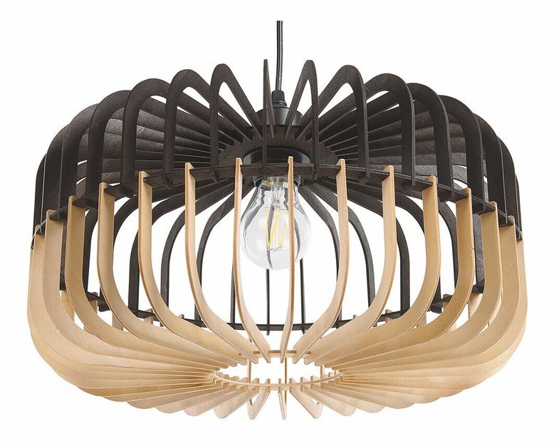 Závěsná lampa SASE (černá)