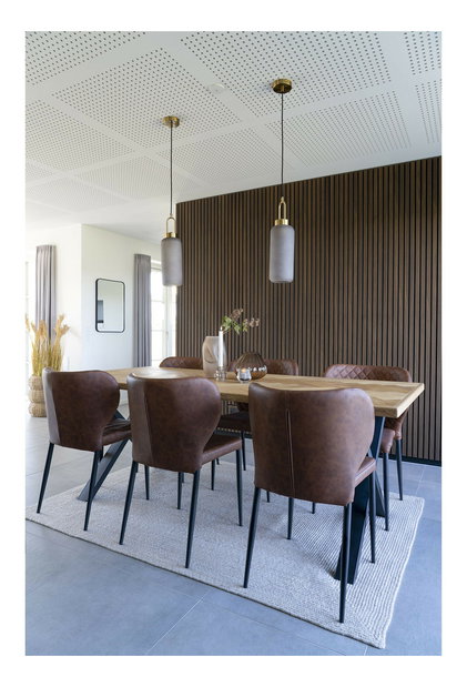 Jídelní židle Paria (hnědá)