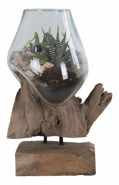 Dekorace Sorelia 1 (přírodní)