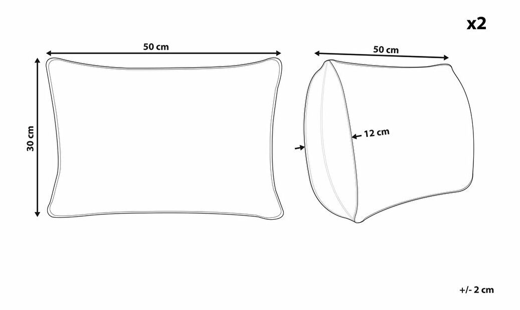 Sada 2 ozdobných polštářů 30 x 50 cm Gudy (černá)