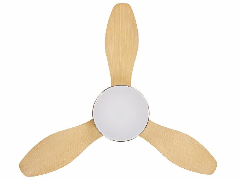 Stropní ventilátor se světlem Brunilda (stříbrná)