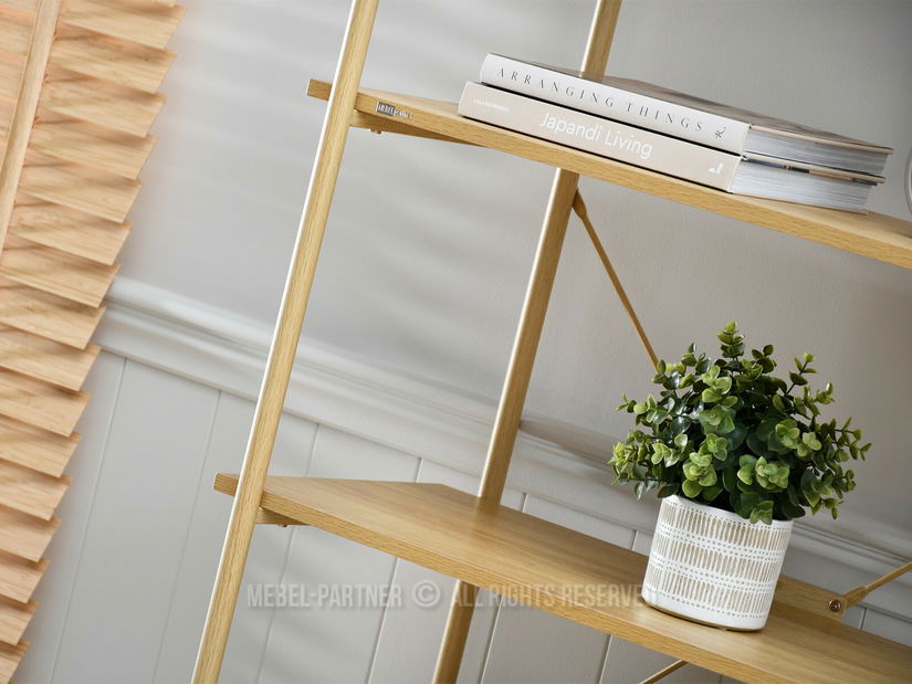 Regál Analogie (dub)