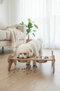 Sada misek pro domácí zvíře Apia 10 (přírodní)