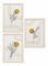 Set 3 ks obrazů Mavandria 1 (přírodní)
