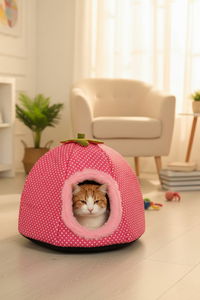 Koberec 180 cm Wopa (červená)