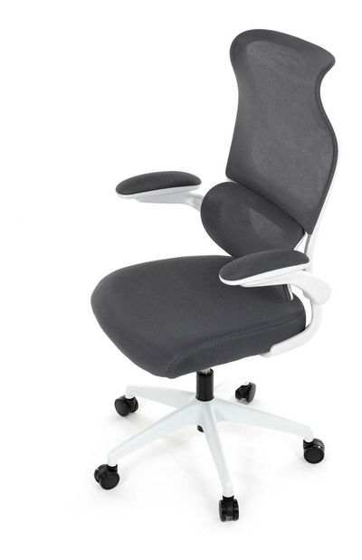 Kancelářské křeslo Inaugurados (šedá)