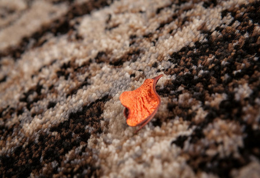 Kusový koberec Neo 333 Beige