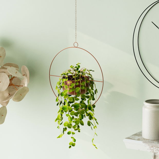 Dekorativní hrnec Paradota (měděná)