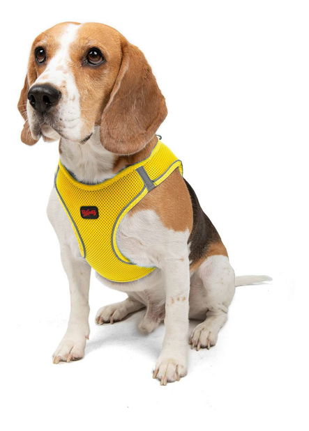 Postroj pro psa Airy (žlutá) (3XS)