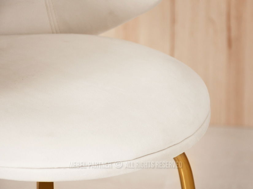 Židle Jared (krémová + černá)