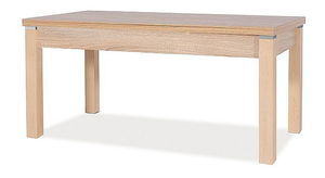 Konferenční stolek Kendall (dub + dub)