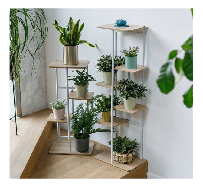 Stojan na květiny Laban 1 (bílá + dub sonoma)