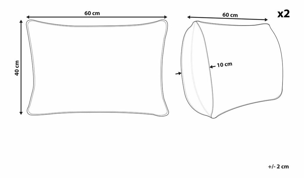Sada 2 ozdobných polštářů 40 x 60 cm Cratty (béžová)