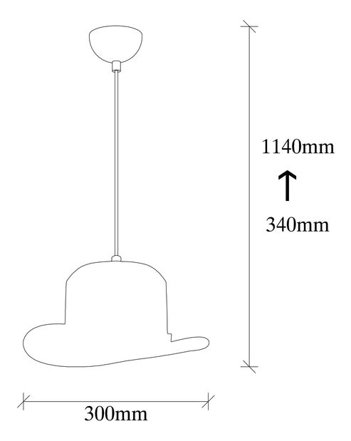Stropní svítidlo Síla 992