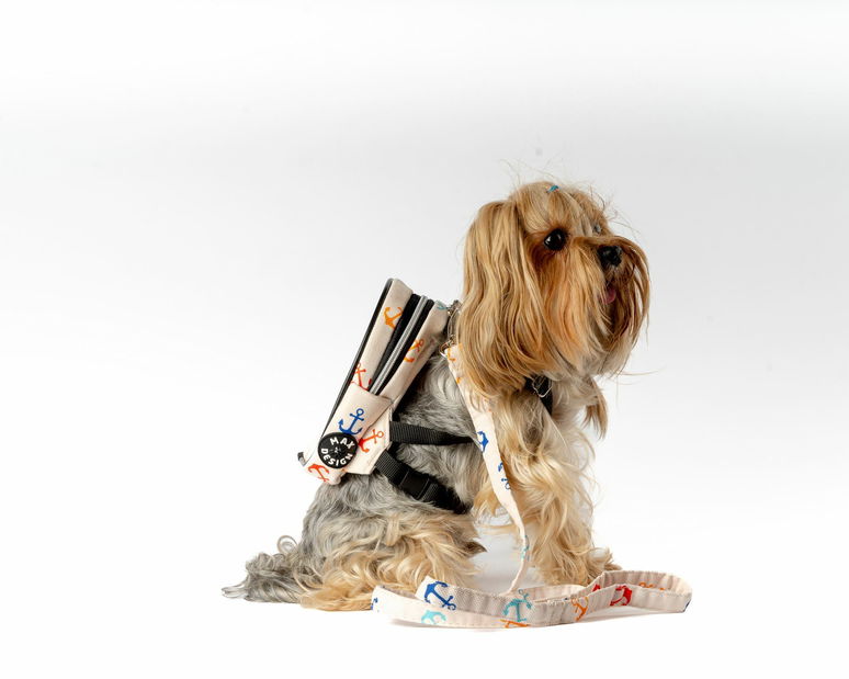 Postroj pro psa Lenny (dub)