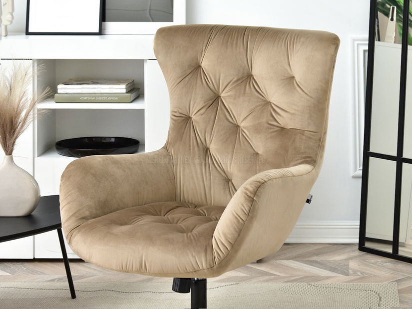 Křeslo Aaron (béžová + černá)