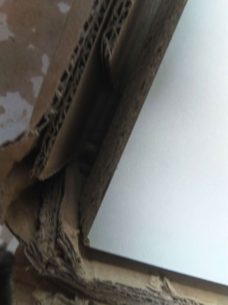 Obývací stěna Ramon I (bílá + lesk černý) (s osvětlením) *bazar