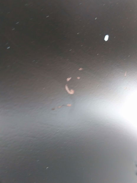 Jídelní stůl Tayna (kaštan) *bazar