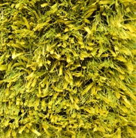 Ručně vázaný koberec Bakero Grip Green