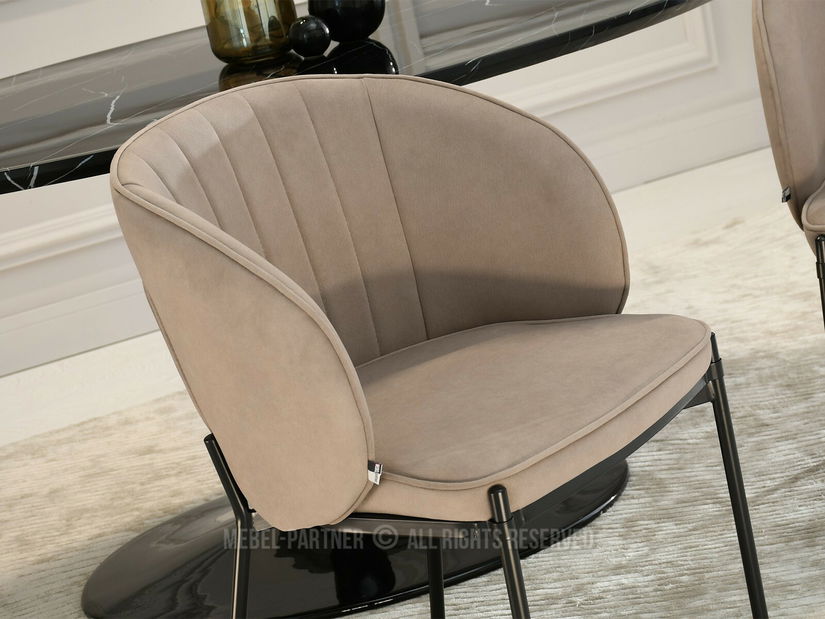 Jídelní židle Finalizaba (béžová + černá)