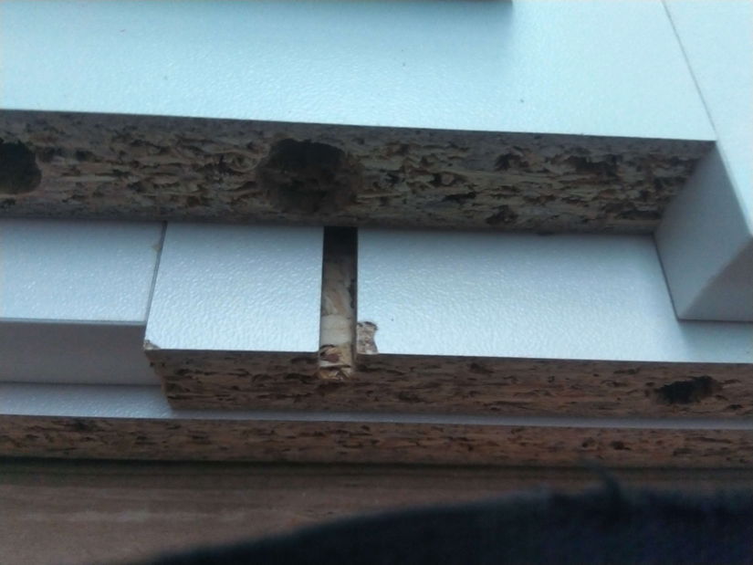 Obývací stěna James (bílá + dub zlatý) *bazar