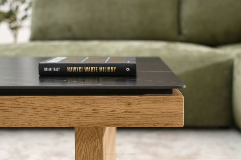 Konferenční stolek Aventajaban (černá + dub)