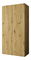 Šatní skříň 100 cm Parna 1 (dub artisan + stříbrná)