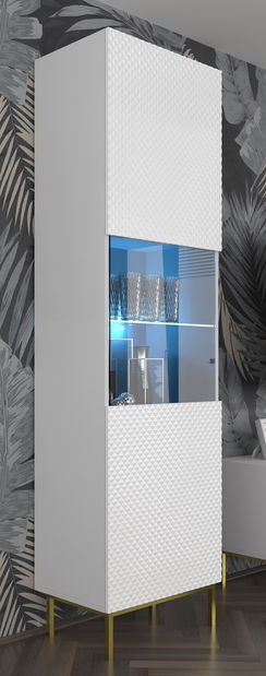 Vitrína C 1DS Rowanna (bílá lesklá + černá)