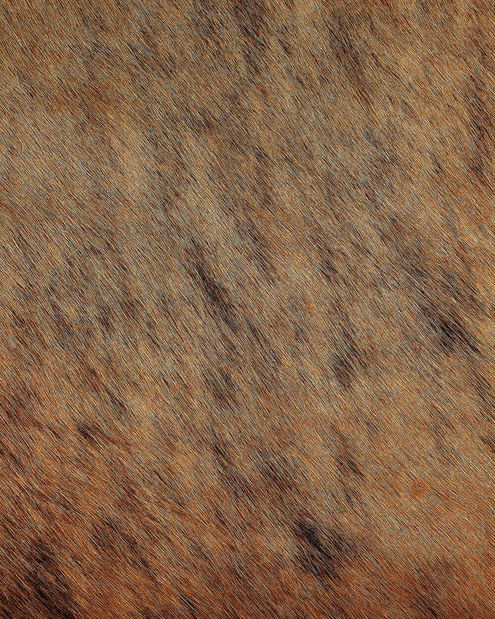 Koberec z hovězí kůže 2-3 m² Nasku (světlohnědá)