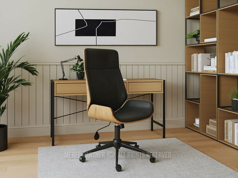 Kancelářské křeslo Astindes (černá)