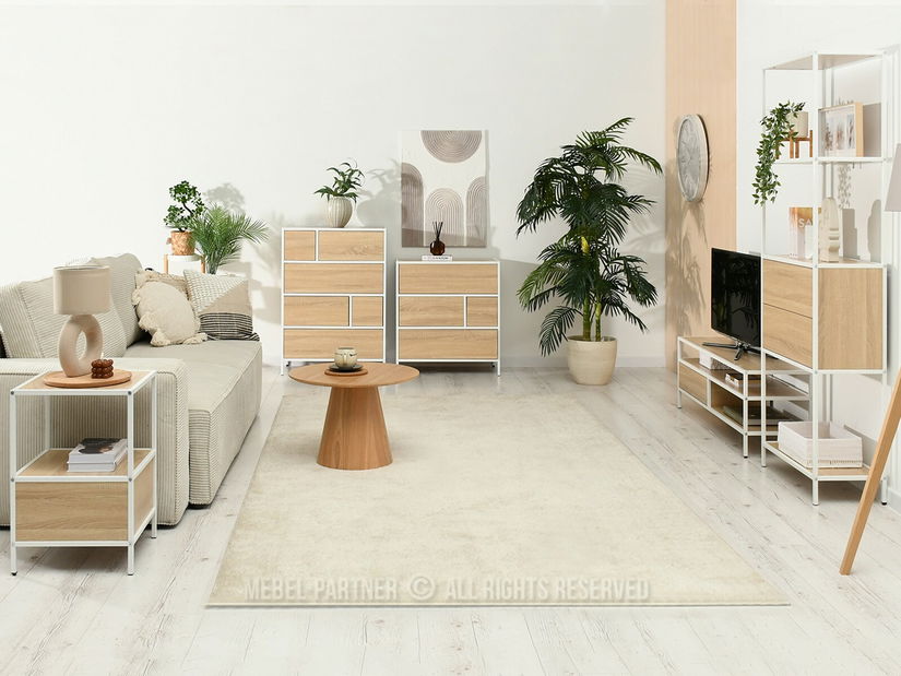 TV stolek/skříňka Soren Rtv (sonoma + bílá)