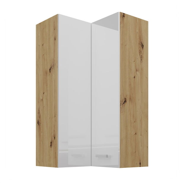 Horní rohová kuchyňská skříňka Arryn 60x60 GN-108 2F (90°) (korpus: dub artisan / fronta: lesk bílý)