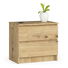 Noční stolek Kalista (dub artisan)