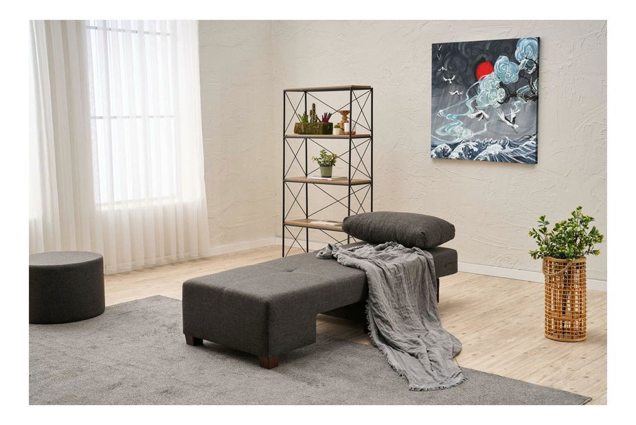 Rozkládací křeslo Perenilla L (P) (antracit + ořech)