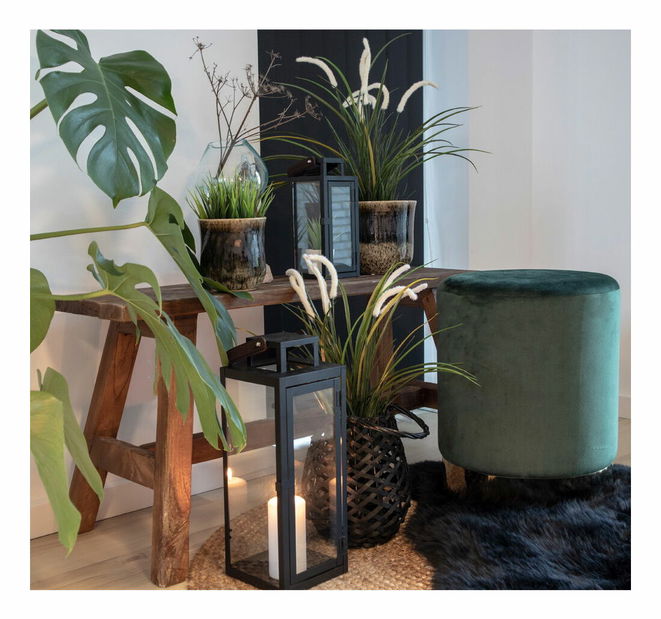 Zahradní lavička Baveria 2 (přírodní)